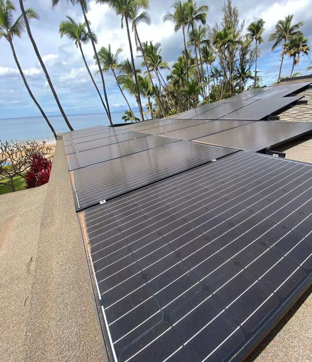 Solar Panels Cleaning