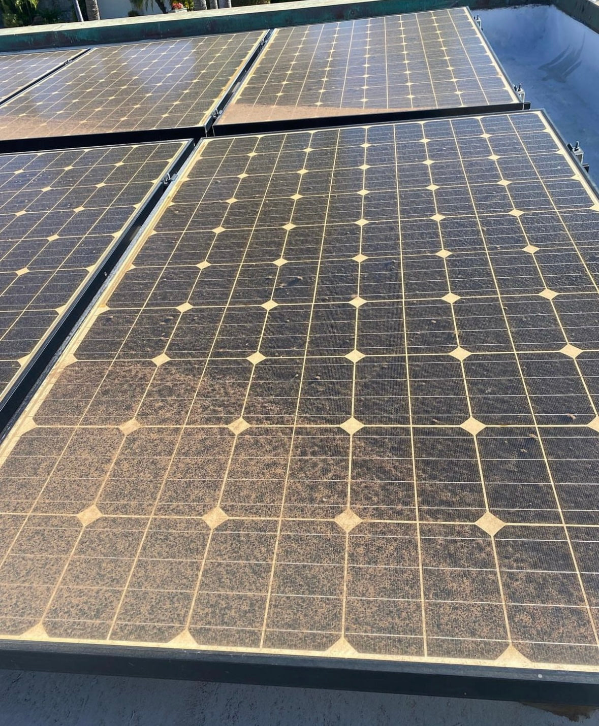 Solar Panels Cleaning