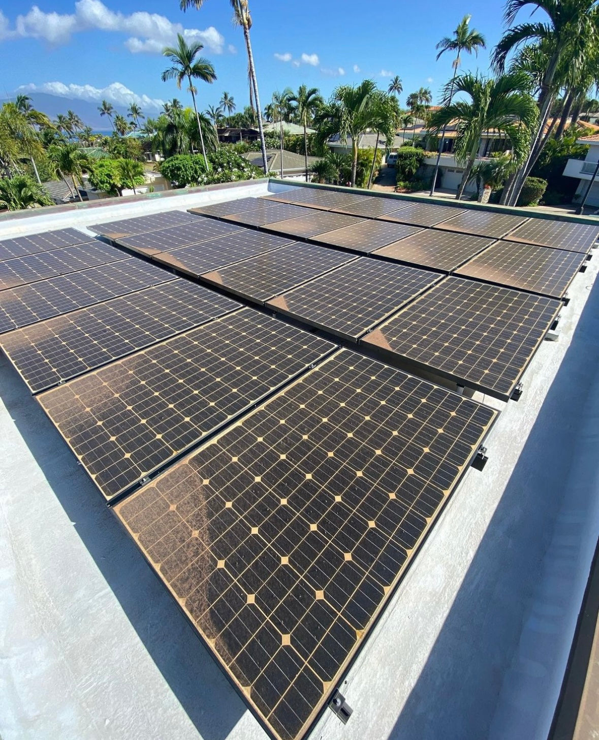 Solar Panels Cleaning