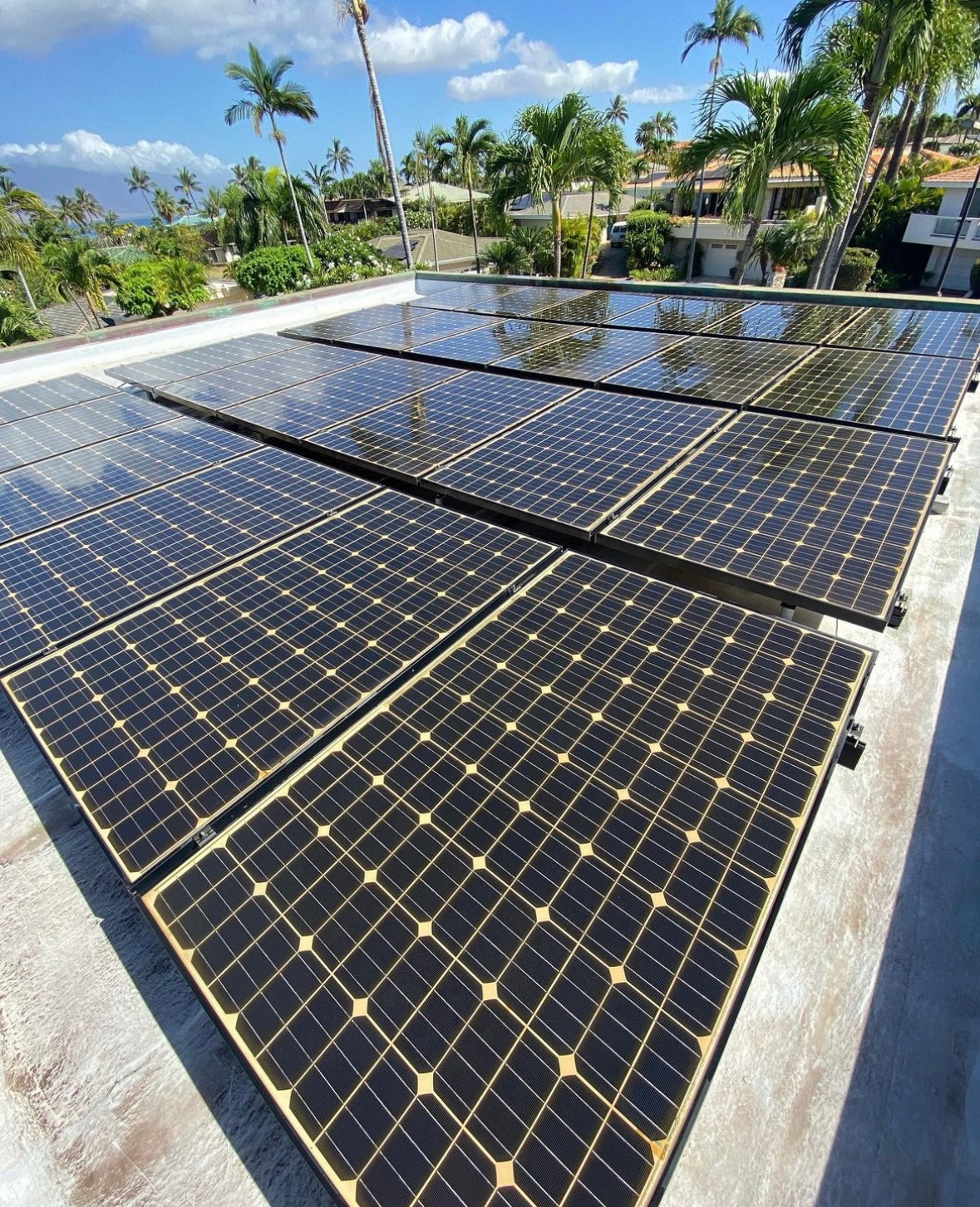 Solar Panels Cleaning